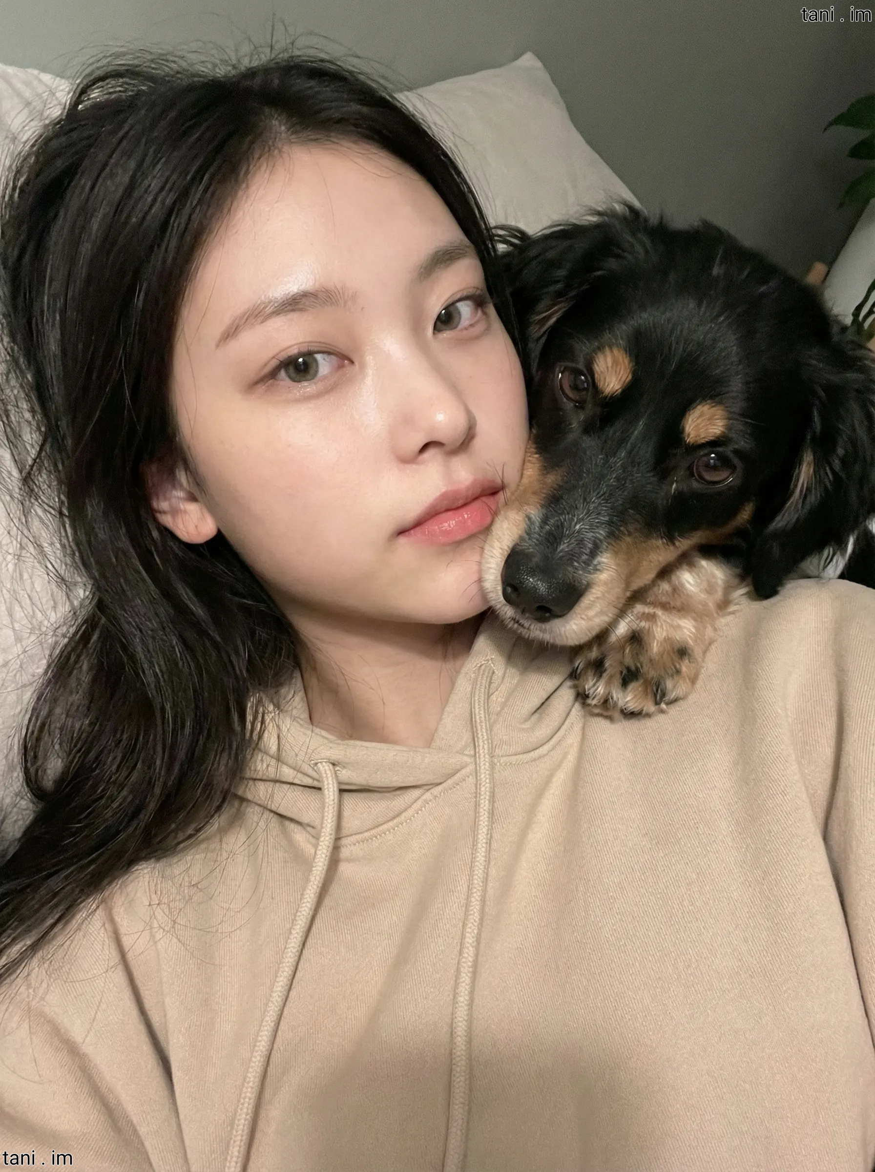 Image tagged Dachshund, Dog, Hoodie, Selfie