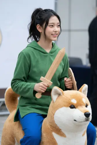 Image tagged Dog, Pants, Plushie, Shiba Inu, Shield, Sword, Hoodie, Weapon